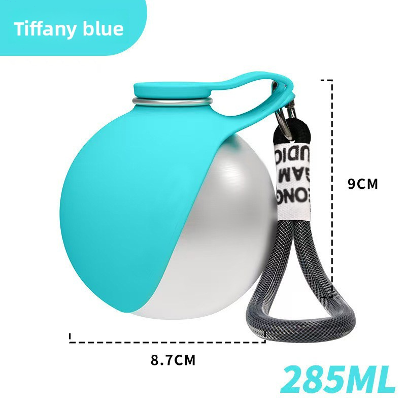304 Stainless Steel Portable Pet Water Bottle with Foldable Bowl 285ml