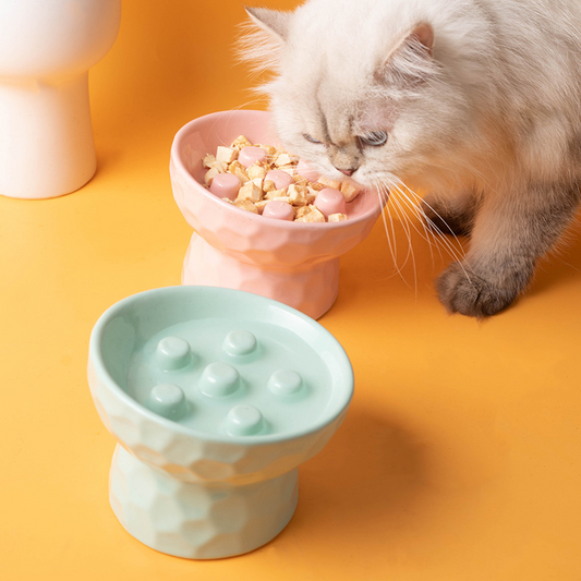 Elevated Tilt Ceramic Slow Feeder Cat Bowl, Raised Pet Dish