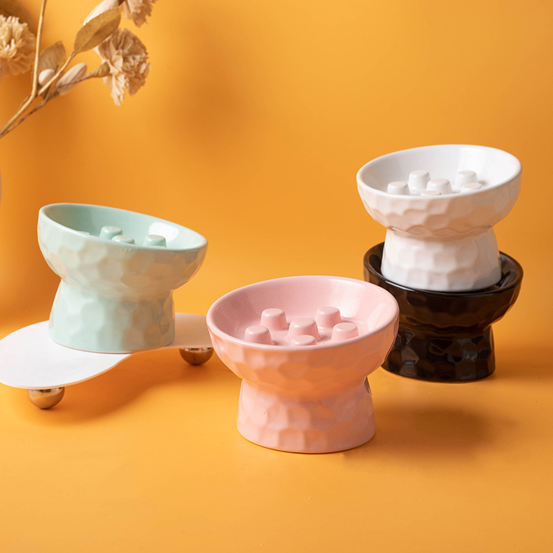Elevated Tilt Ceramic Slow Feeder Cat Bowl, Raised Pet Dish