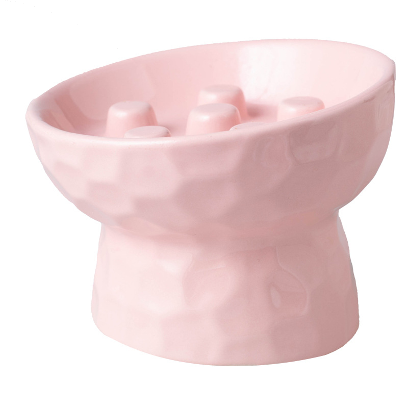 Elevated Tilt Ceramic Slow Feeder Cat Bowl, Raised Pet Dish