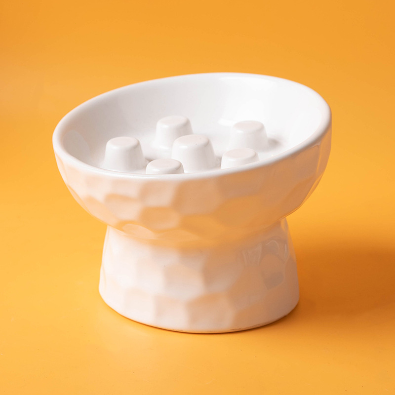 Elevated Tilt Ceramic Slow Feeder Cat Bowl, Raised Pet Dish