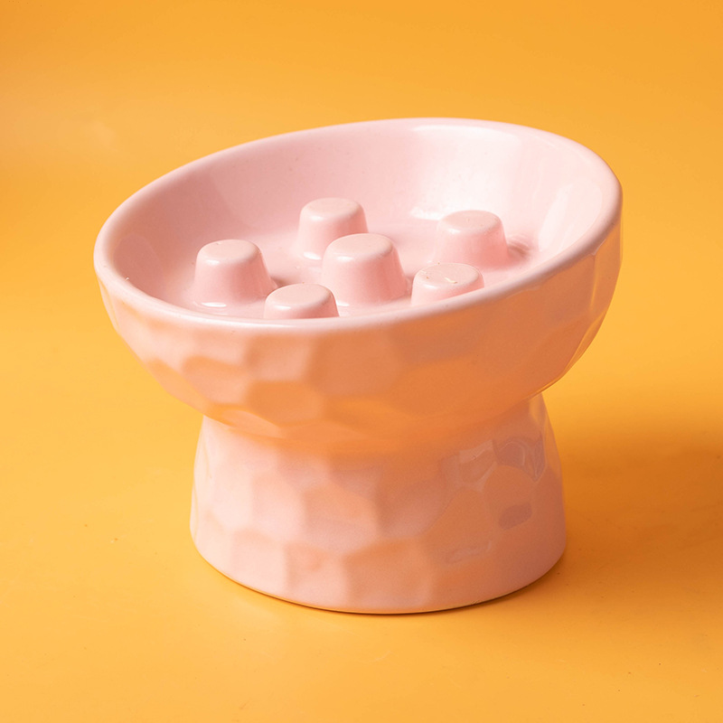 Elevated Tilt Ceramic Slow Feeder Cat Bowl, Raised Pet Dish