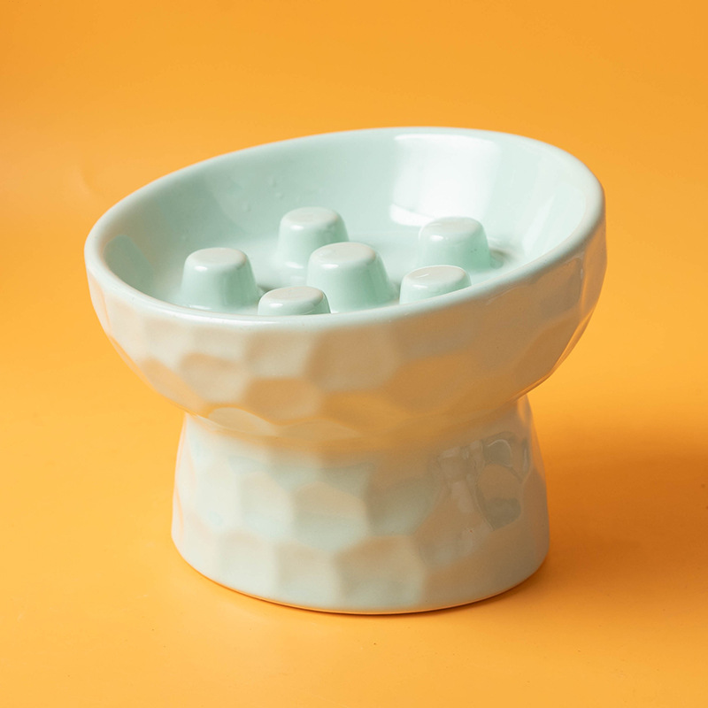 Elevated Tilt Ceramic Slow Feeder Cat Bowl, Raised Pet Dish