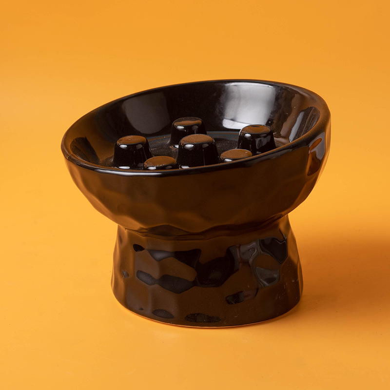 Elevated Tilt Ceramic Slow Feeder Cat Bowl, Raised Pet Dish