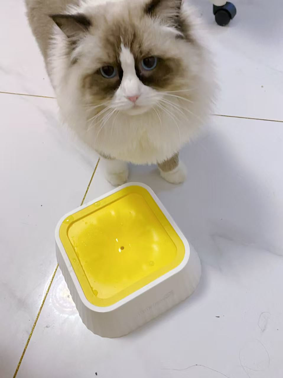 Anti-Spill Floating Pet Water Bowl, No Wet Mouth Water Dispenser for Dogs & Cats